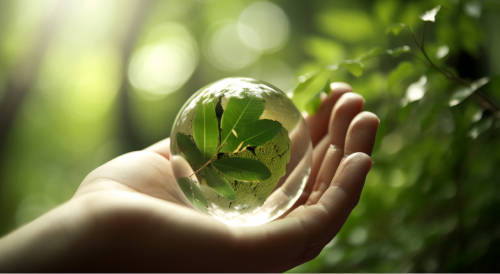 2019年度环保信息公开